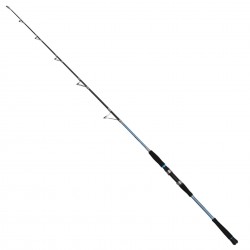 Captain 1429 Canon Boat Tekne Kamışı PE 2-5 10-15Lbs