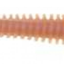 Berkley Gulp Alive Nereis Sahte Kurt-NATURAL-15CM - 14LÜ