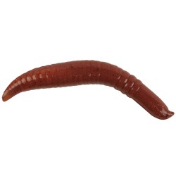 Berkley Gulp Floating Pinched Crawler Sahte Kurt-NIGHTCRAWLER-5CM - 6LI