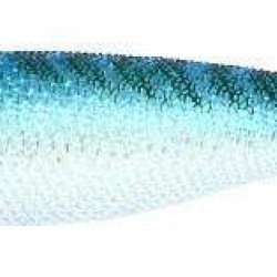 Captain 3002 Kalamar Zokası 7cm Mistake Squid-4-