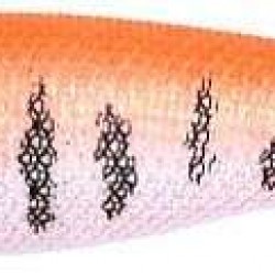 Captain 3009 Kalamar Zokası 8cm Flash Filinta Squid-2-